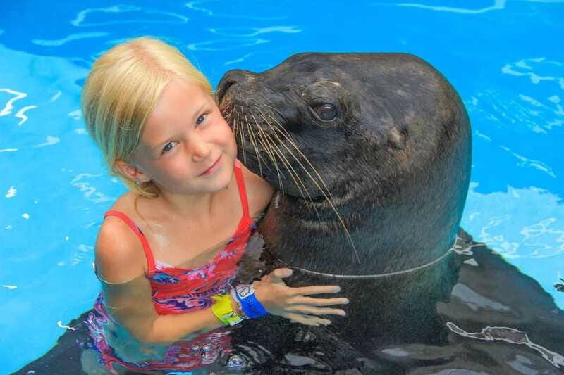 Puerto Vallarta: Unforgettable Sea Lion Encounter - Who Will Enjoy This Experience Most?