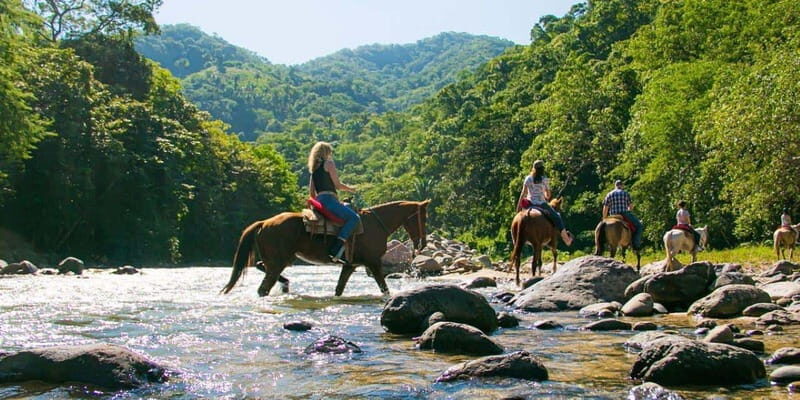 Puerto Vallarta: Wild Tour Horseback Riding Experience - Key Points  