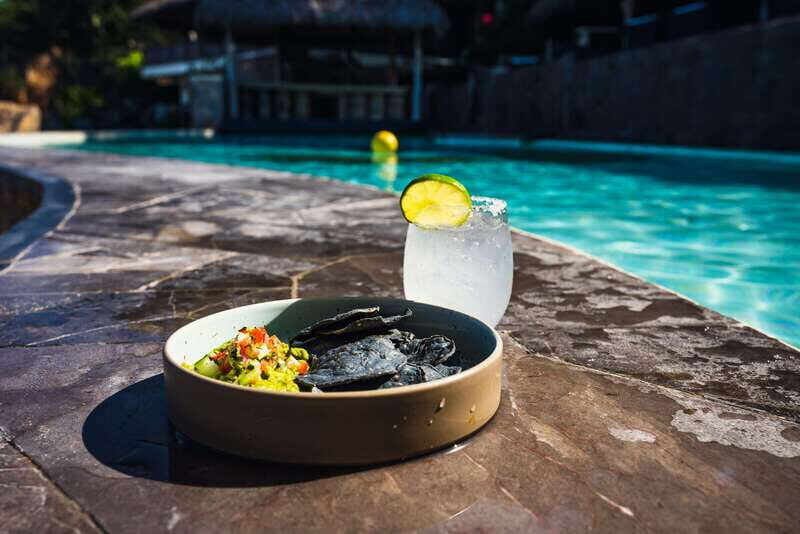 Puerto Vallarta Yacht Cruise to Beach Paradise ALL INCLUSIVE - Practical Details and Tips