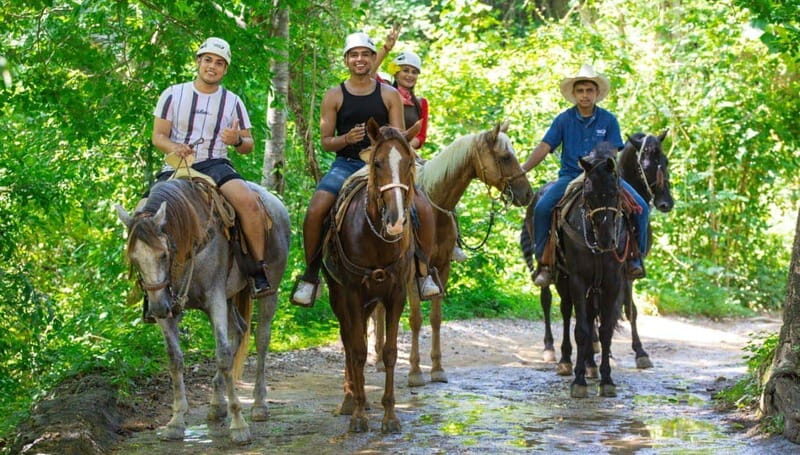 Puerto Vallarta: Zipline Experience over Canopy River Park - What to Expect on the Zipline Tour