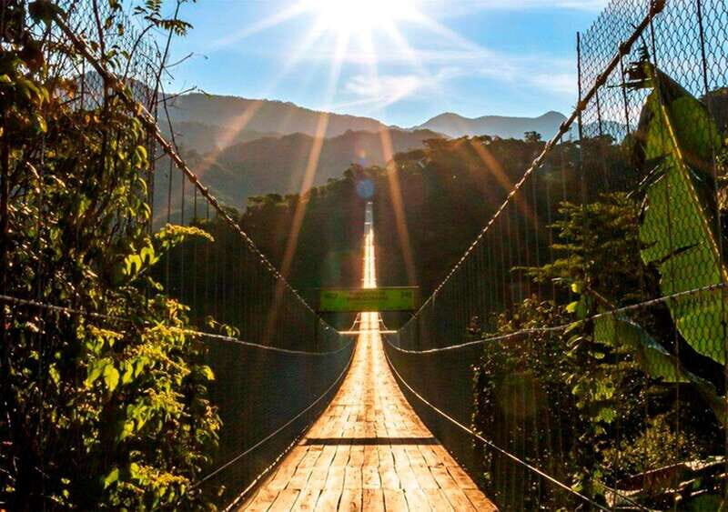 Puerto Vallarta: ZipLine + Jorullo Bridge Pass + Mule Ride - What to Expect from the Tour