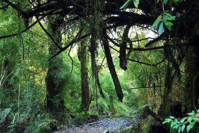 puerto-varas-full-day-alerce-andino-national-park