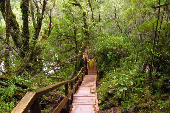 puerto-varas-full-day-alerce-andino-national-park