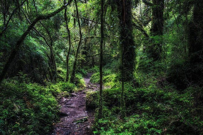 puerto-varas-full-day-alerce-andino-national-park