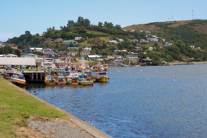 puerto-varas-full-day-chiloe-island-ancud-caulin-and-lacuy