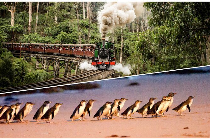 Puffing Billy and Penguin Parade Combo Tour From Melbourne - Introduction: A Charming Day Out with Puffing Billy and Penguin Parade