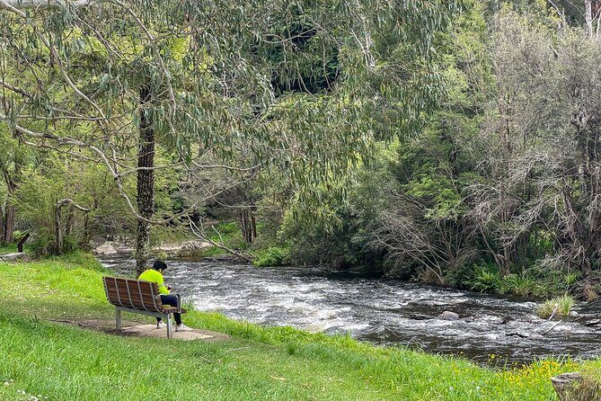 Puffing Billy, Forest Trails and Yarra Valley Discovery Tour - The Experience Vibe and Guide Highlights