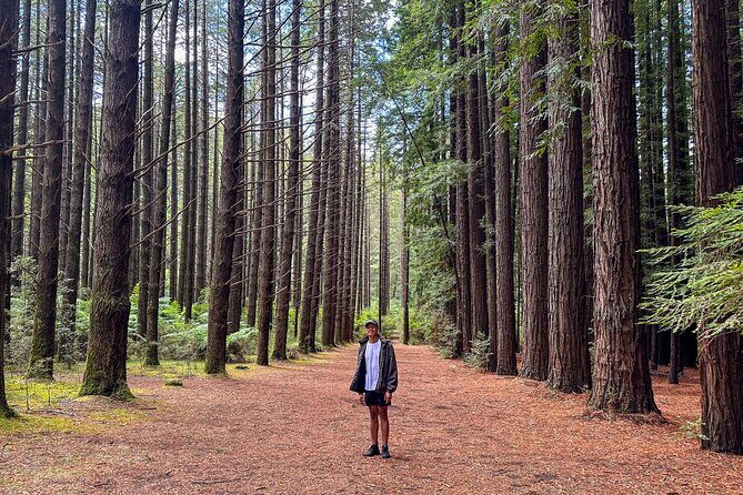 Puffing Billy, Forest Trails and Yarra Valley Discovery Tour - Value for Money