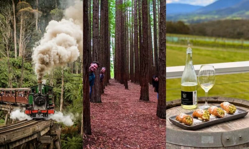 Puffing Billy, Forest Trails & Yarra Valley Discovery Tour - Key Points