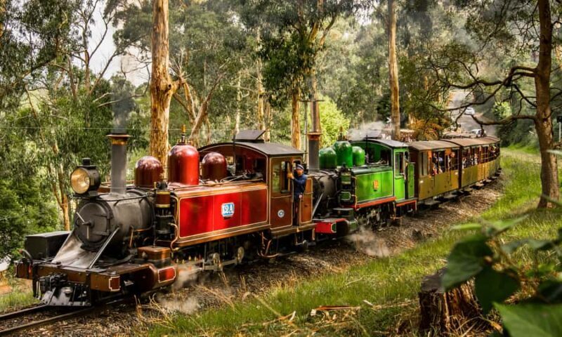 Puffing Billy, Forest Trails & Yarra Valley Discovery Tour - Authentic Insights from Reviews