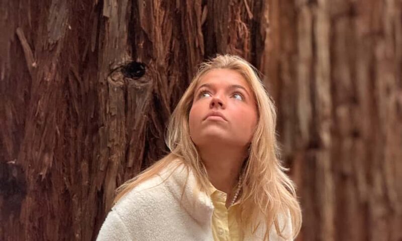 Puffing Billy, Forest Trails & Yarra Valley Discovery Tour - Who Is This Tour Best For?