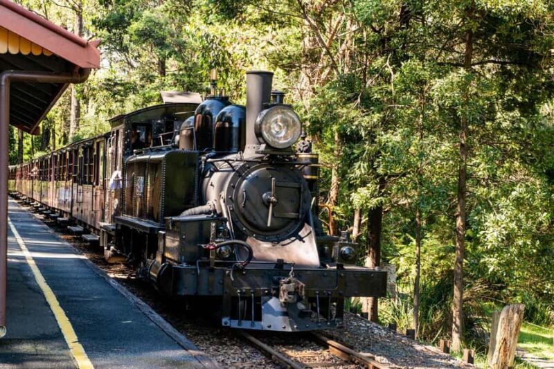 Puffing Billy, Healesville Sanctuary & Chocolatier - Key Points