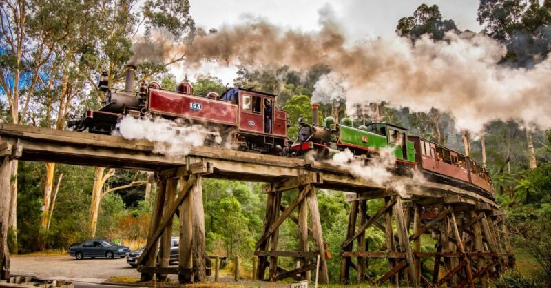 Puffing Billy Railway: Heritage Steam Train Journey - Authentic Reviews and Insights