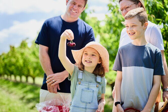 Puffing Billy Steam Train & Cherry Picking Tour from Melbourne - A Detailed Look at the Puffing Billy Steam Train & Cherry Picking Tour from Melbourne