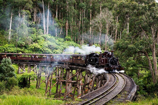Puffing Billy Steam Train Rainforest Tour and Yarra Valley Treats - The Itinerary Breakdown