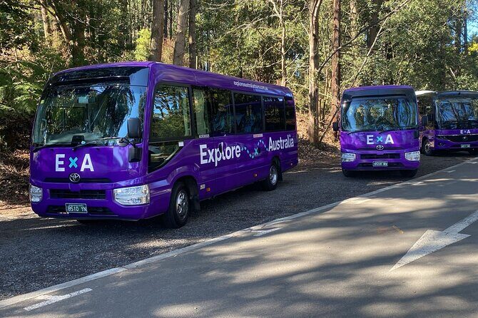 Puffing Billy Steam Train Rainforest Tour and Yarra Valley Treats - Who This Tour is Best For