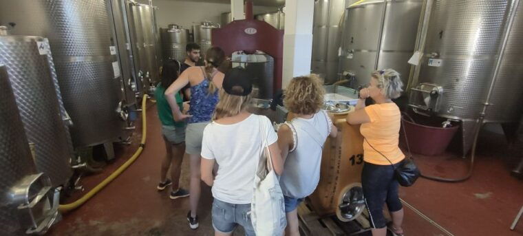 puglia-bari-primitive-wine-tasting-in-gioia-del-colle