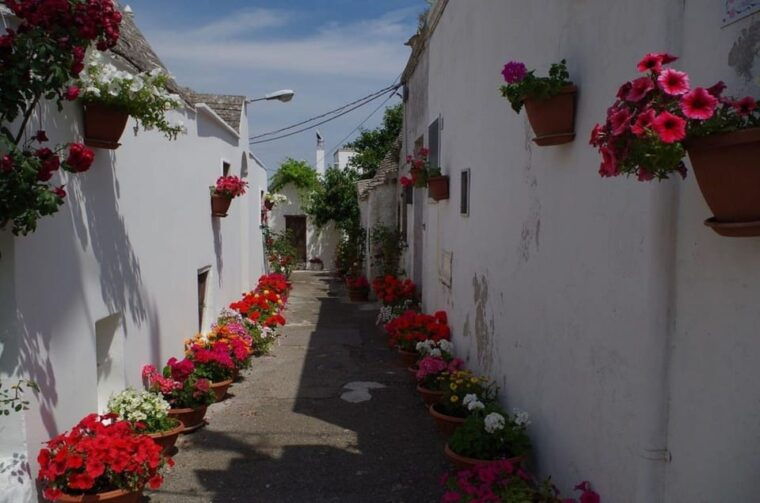 puglia-conversano-alberobello-and-monopoli-private-tour