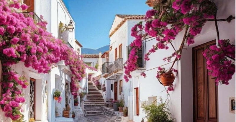 Puglia: Locorotondo, Cisternino, and Ostuni Private Tour - Puglia: Locorotondo, Cisternino, and Ostuni Private Tour — An Authentic Day in Italy’s Heart