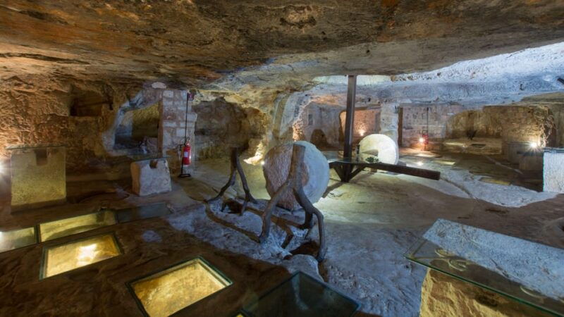 puglia-olive-oil-tasting-experience-with-olive-grove-walk-2