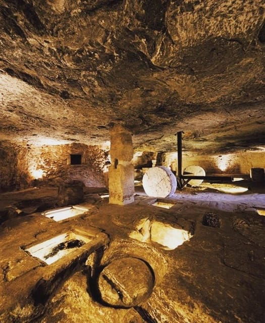 puglia-olive-oil-tasting-experience-with-olive-grove-walk-2