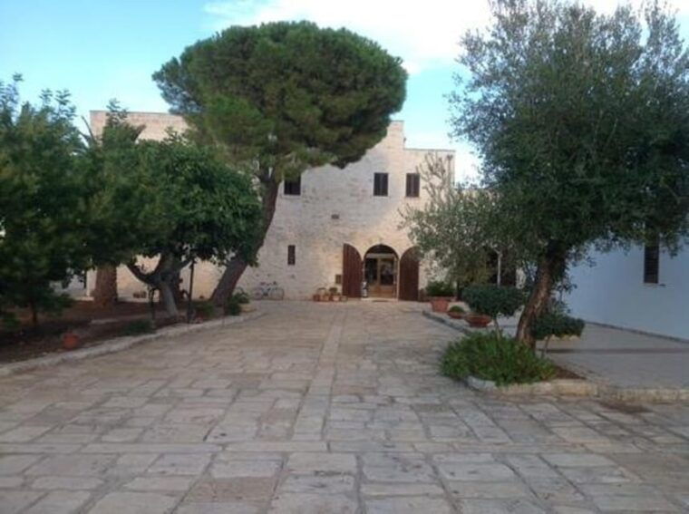 puglia-olive-oil-tasting-experience-with-olive-grove-walk-2