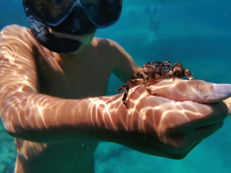 Pula Adventure: Snorkeling Boat Trip & Cliff Jumping - The Itinerary in Detail