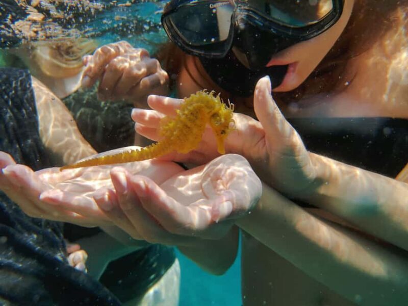 Pula Adventure: Snorkeling Boat Trip & Cliff Jumping - Final Thoughts: Is This Tour Worth It?