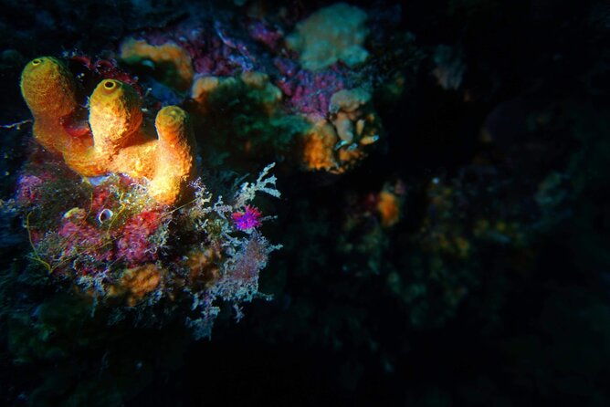 pula-boat-trip-with-snorkeling