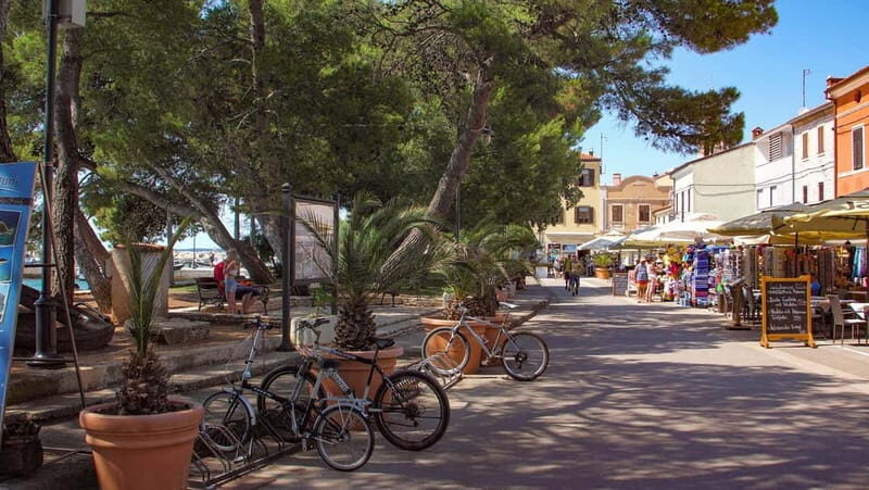 Pula: Brijuni National Park Cruise, Lunch and Beach Escape - Who Is This Tour Best Suited For?