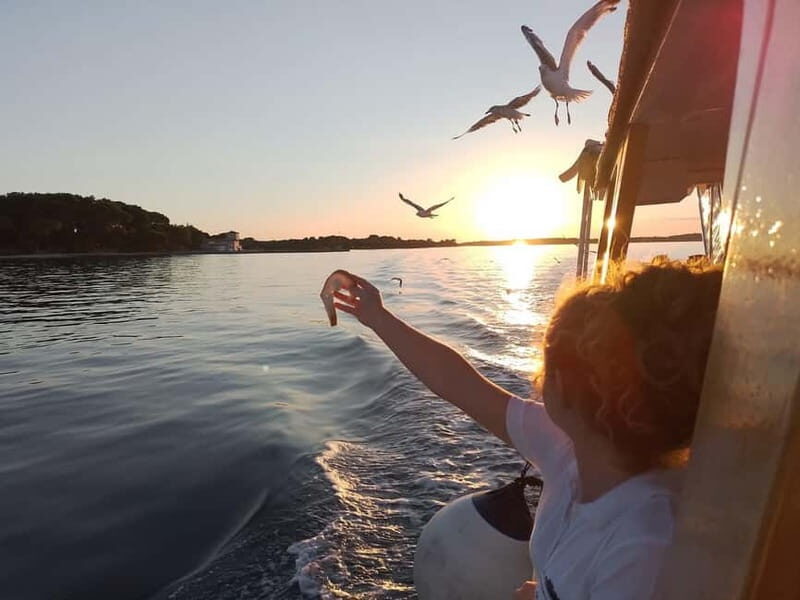 Pula: Brijuni National Park Dolphin Watching Tour w/Dinner - Returning to Pula