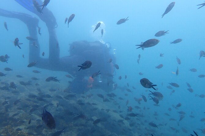 pula-discover-scuba-diving-package