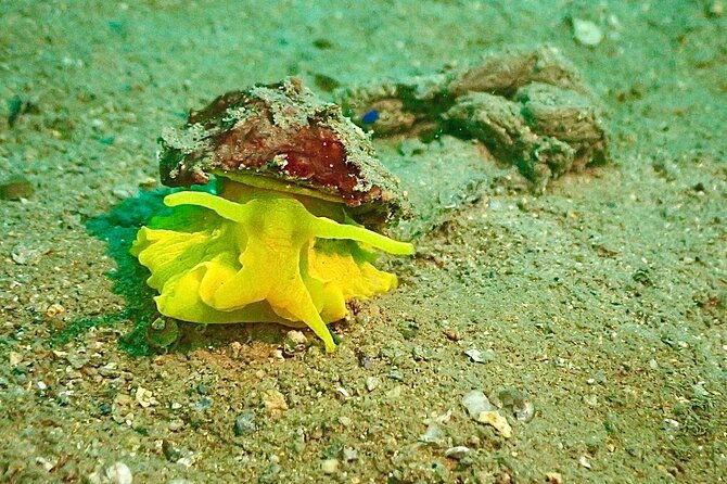 pula-discover-scuba-diving-package
