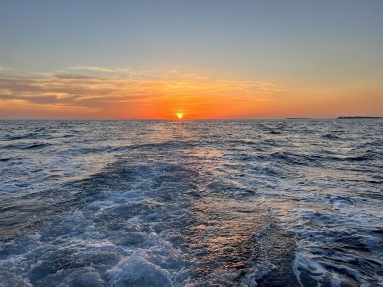 pula-dolphin-watching-sunset-cruise-with-dinner-drinks