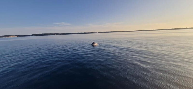 Pula: Half or Full day boat tour on yacht with skipper - FAQ