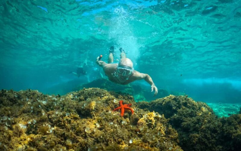 Pula: Kayaking, Snorkeling, Cliff jumping, photos included - An Overview of the Tour