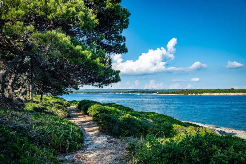 Pula: National Park Brijuni/2 swimming stops/lunch/drinks - The Experience from Reviews