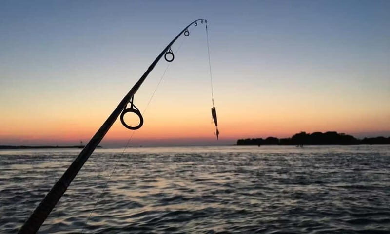 Pula: Private Boat Fishing Trip with Local Fisherman - Price and Value