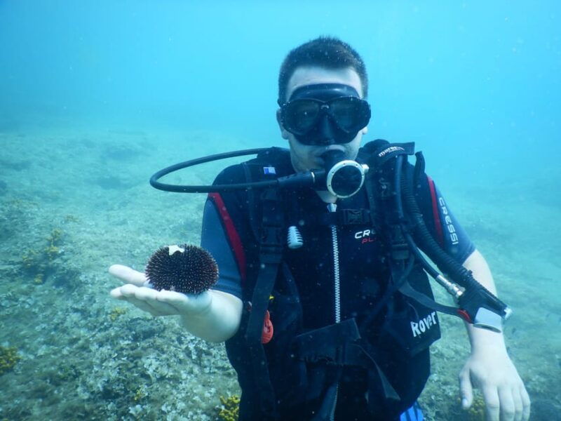 pula-private-introduction-to-scuba-diving