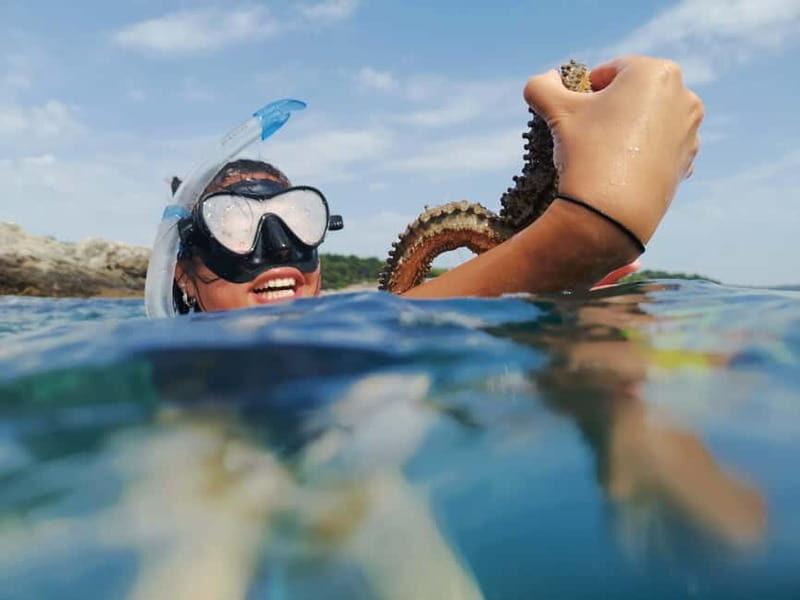 Pula: Sea Adventure  Boat, Kayak, Snorkeling & Cliff Jumps - Who Should Book This Tour?