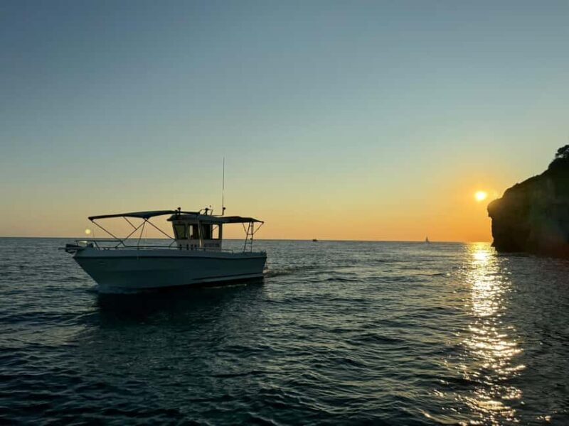 Pula: Sunset Dolphin Watching Boat Tour around N.P Brijuni - Analyzing the Value for Money