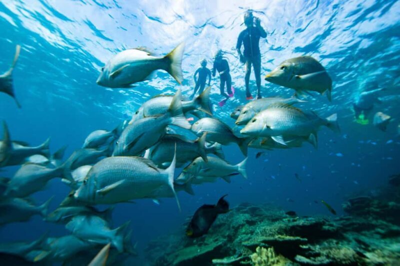 Pula: Swimming & snorkeling Boat Tour - Who Should Consider This Tour?