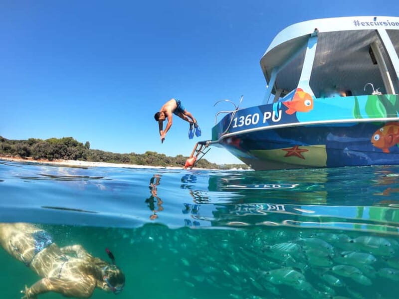 Pula Verudela: Glass-Bottom Boat and Swim with Fish Tour - Key Points