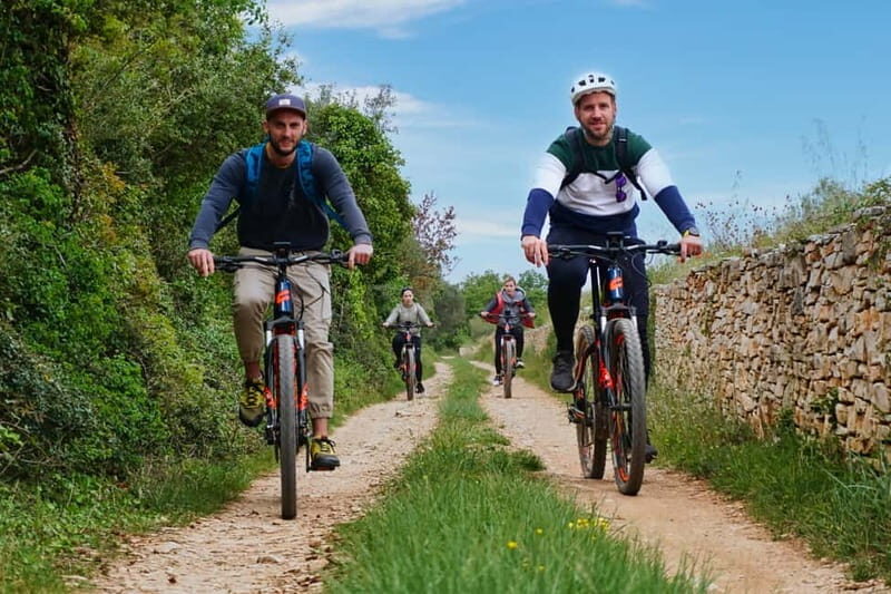 Pula-Vodnjan-Rovinj: E-Bike Tour with traditional dinner - A Detailed Look at the Tour Experience