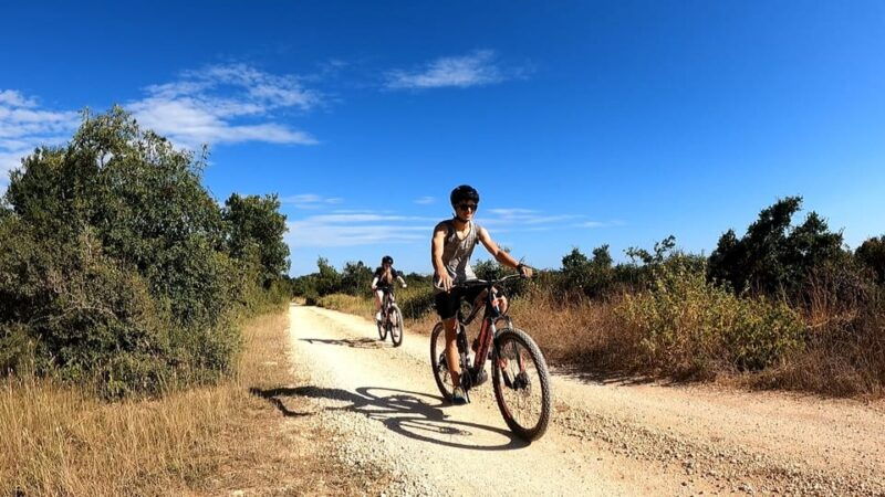 pula-vodnjan-rovinj-e-bike-tour-with-wine-tasting