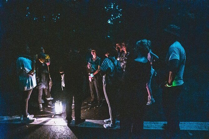 Pulau Ubin Jetty Walking Tour Experience - Why This Tour Is a Great Choice