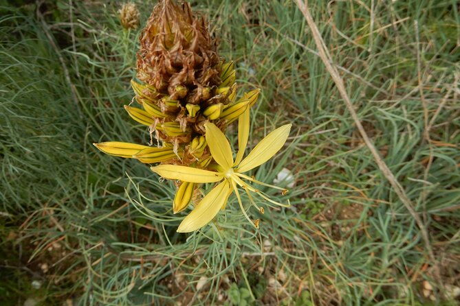 pulo-di-altamura-excursion-in-the-alta-murgia-national-park