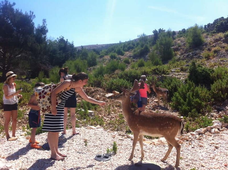 Punat: Grgur, Goli, Rab, and Krk Island Boat Trip with Lunch - An In-Depth Look at the Itinerary  