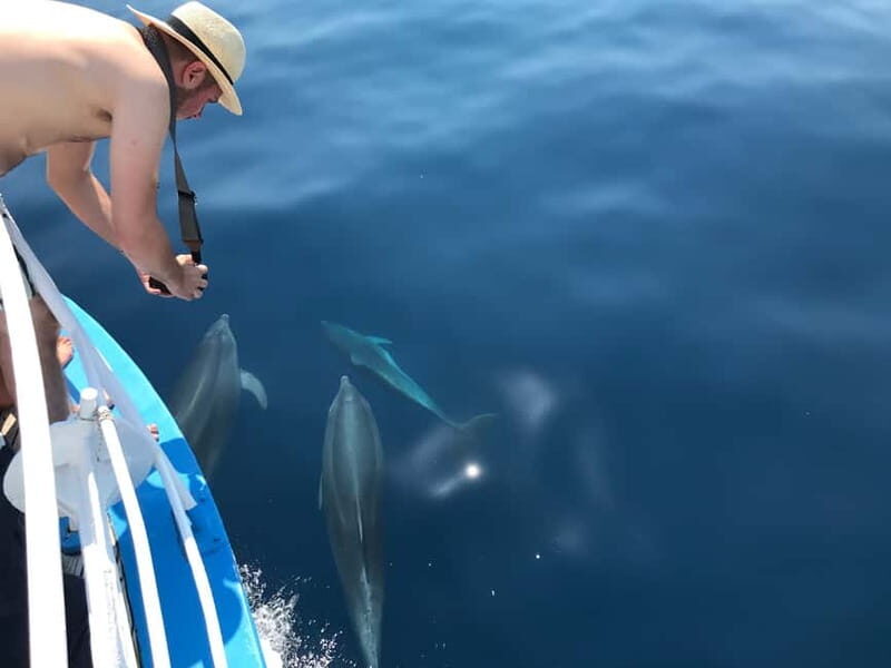 Punat: Grgur, Goli, Rab, and Krk Island Boat Trip with Lunch - Final Thoughts: Is It Worth It?  