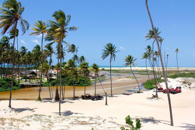 punau-bar-tour-departing-from-natal
